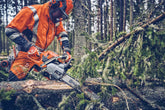 Αλυσοπρίονο Husqvarna 562XP Mark II 18"